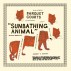 2014-06-06-parquet-courts-sunbathing-animals