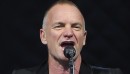 Sting